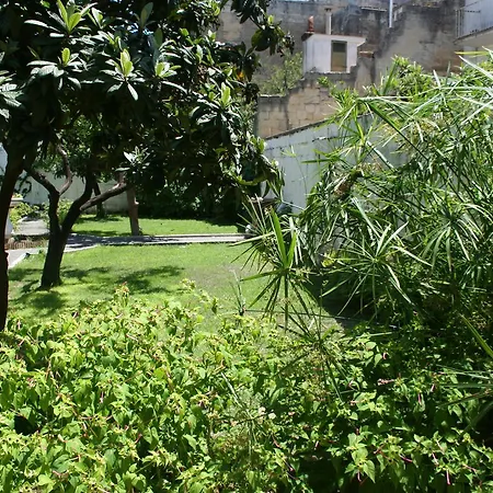 Vandrerhjem Urban Oasis Lecce